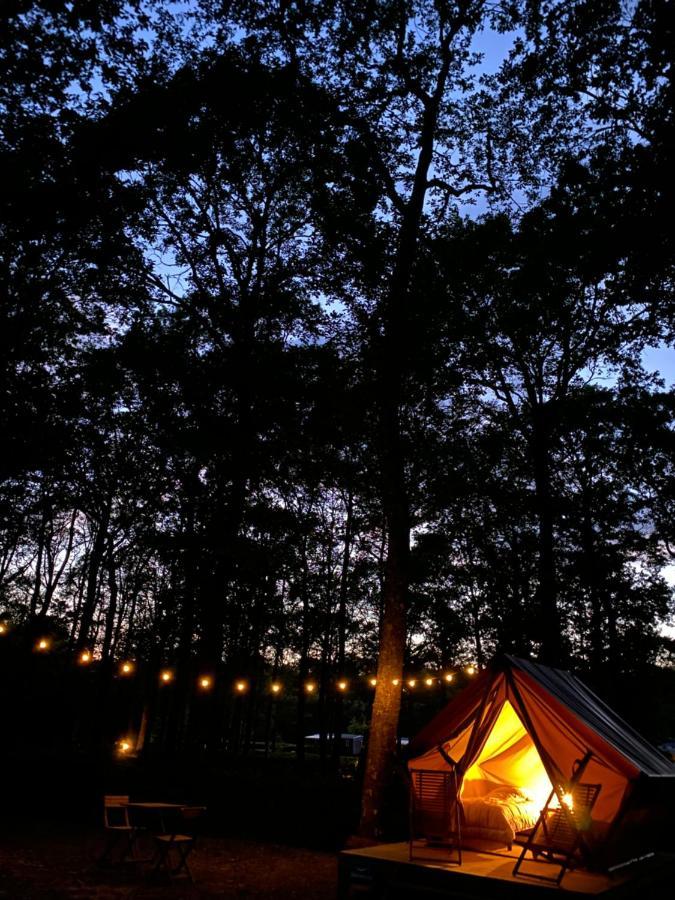 Camping De La Foret Seasonova Sillé-le-Guillaume المظهر الخارجي الصورة