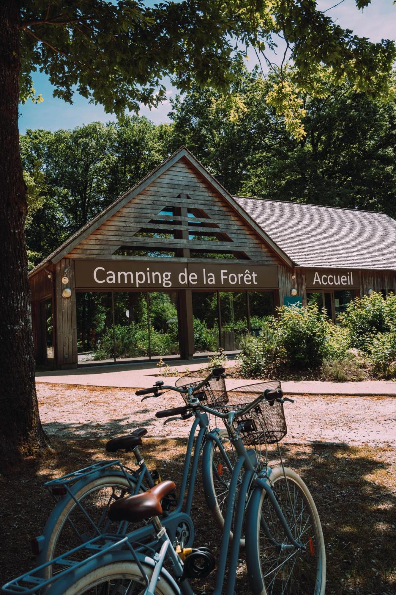 Camping De La Foret Seasonova Sillé-le-Guillaume المظهر الخارجي الصورة